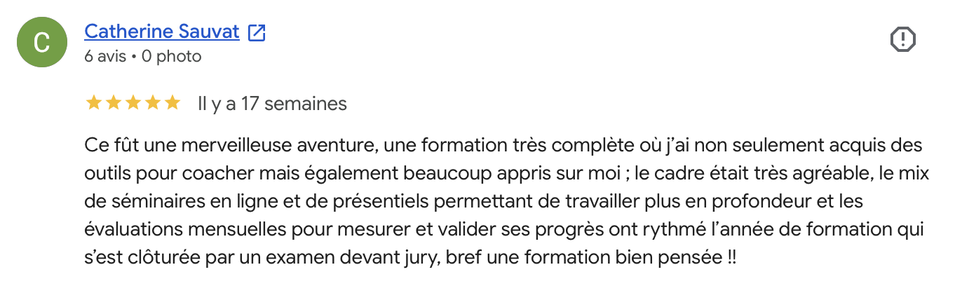 Avis Google