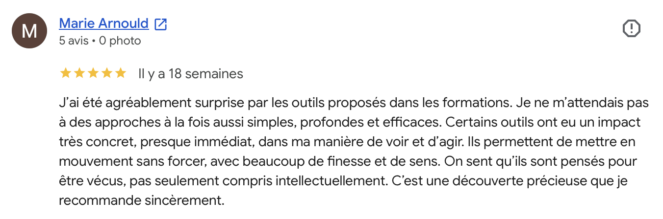 Avis Google