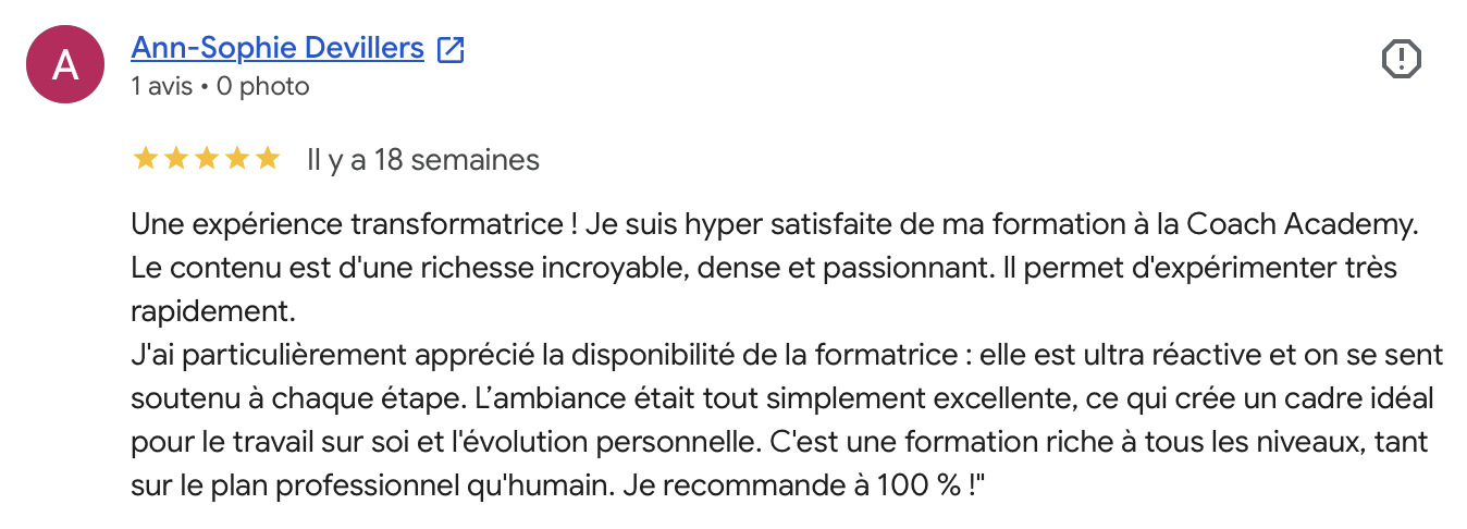 Avis Google